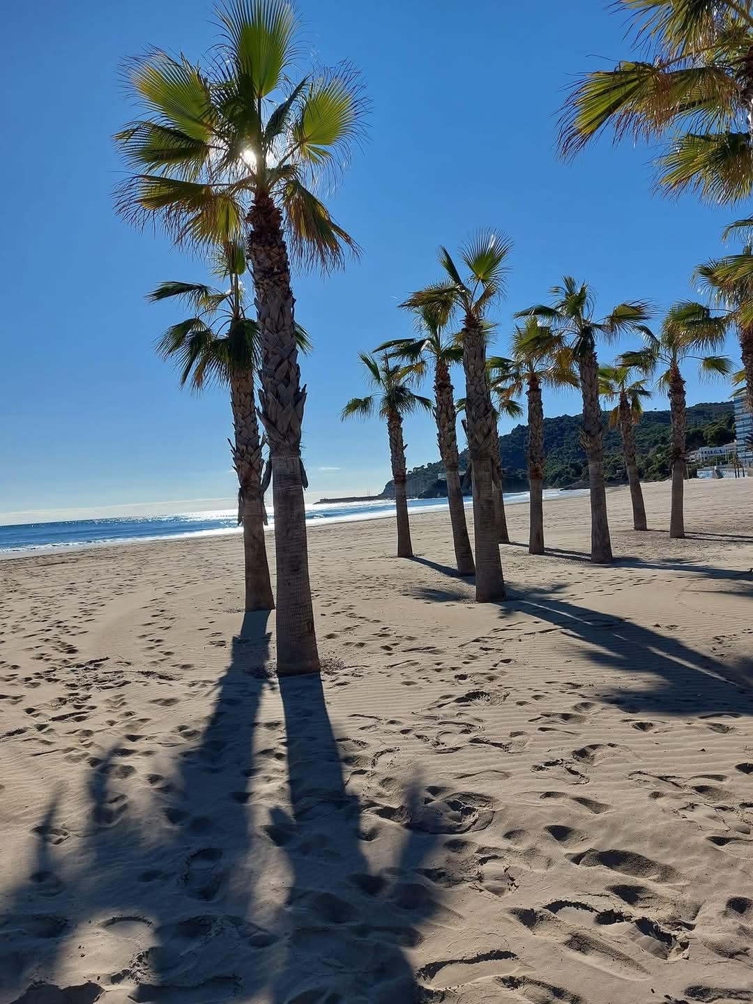 Playa 3