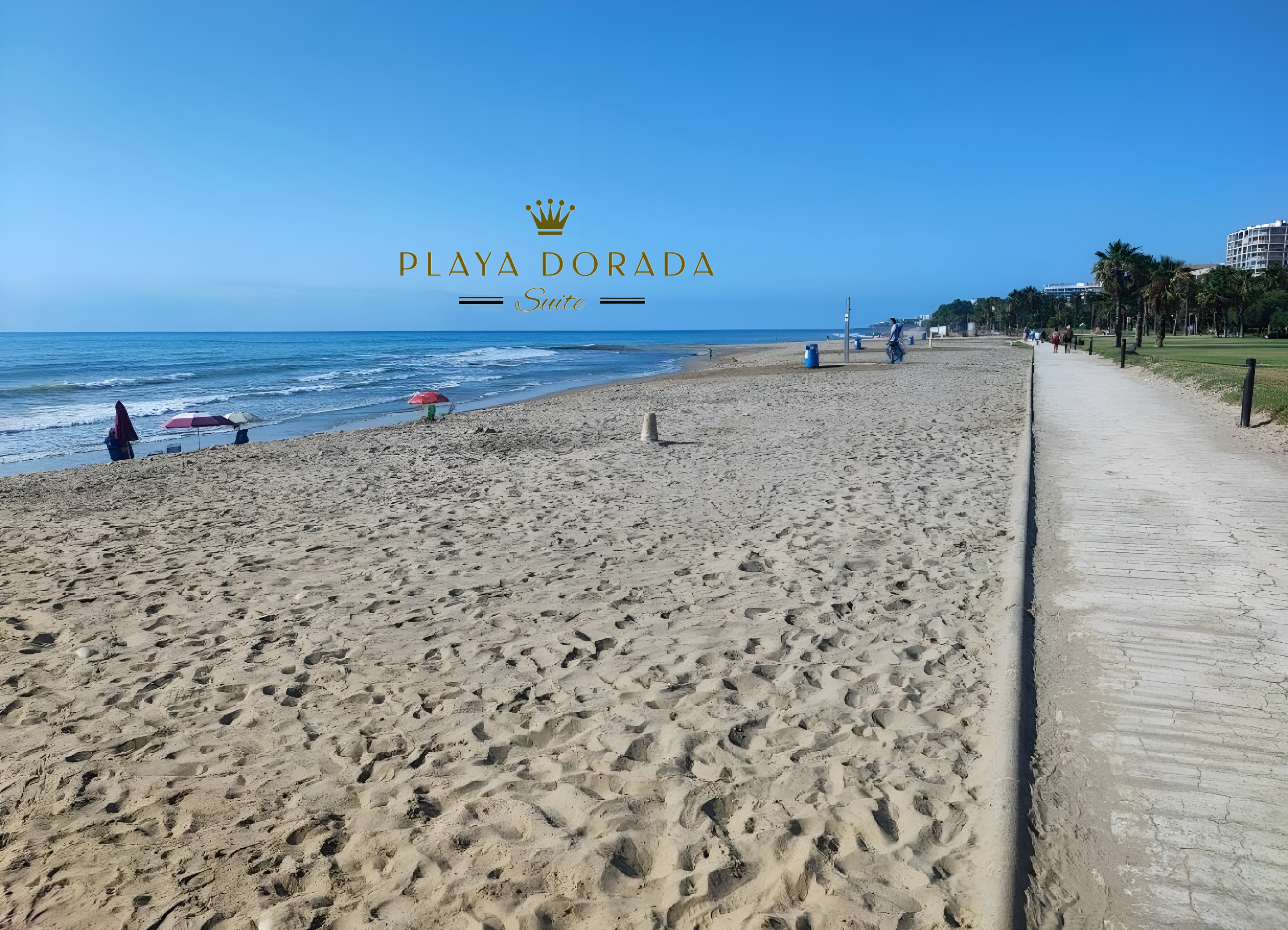 Playa 6
