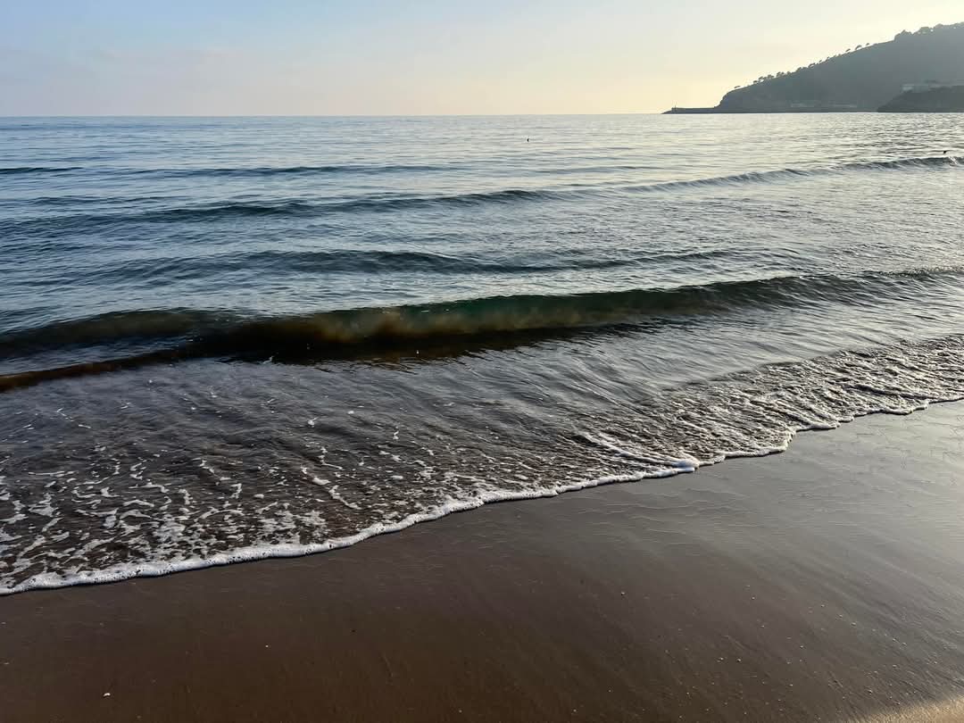 Playa 7